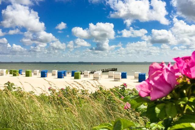 Apartament Haus Uthlande Uthlande Whg 4 Wyk auf Föhr Zewnętrze zdjęcie